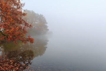 Misty foggy autum on a small lake