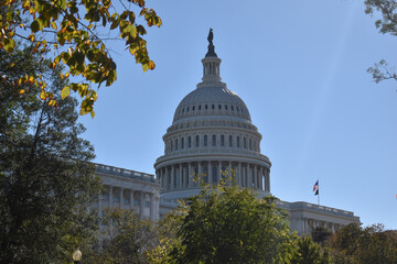 Washington, DC, USA - November 1, 2021: The Rotunda of the U.S. Capitol Building Peaking Above the Trees on a Bright Autumn Morning with Beautiful Leaves in the Foreground
