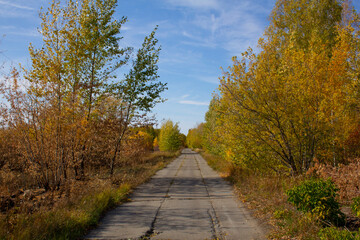 Autumn roads in the Urals in Russia. The road through the autumn thickets in early autumn in Russia