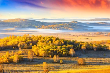 Fototapete Colorful forest and mountain natural landscape in autumn.Beautiful autumn scenery in the Ulan Butong grassland,Inner Mongolia,China. © ABCDstock