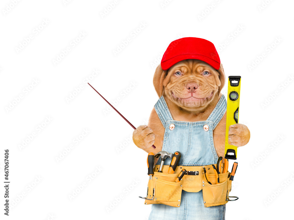 Aufkleber Smiling puppy worker wearing red cap and overalls with tool belt holds spirit level and pointing away on empty space.  Isolated on white background