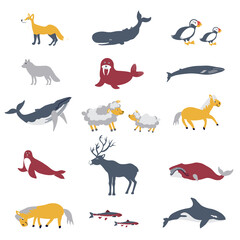 Icelandic wild animals set cartoon character design, whales, orca, puffin bird, seal, sheep, Cute flat vector illustration isolated on white, Northern Europe fauna, decorative icon, for zoo alphabet