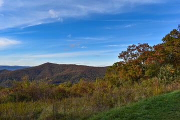 Plakat Mountain Scenery With Beautiful Fall Trees in the Foreground and a Bright Blue Sky in the Background