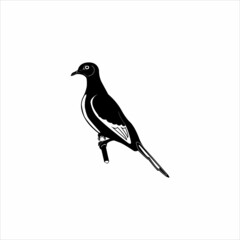 blackbird on a branch icon