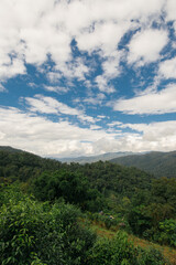Fototapeta na wymiar Beautiful blue sky high peak mountains mist fog wildlife green forest at changmai