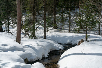 Opened river in early spring among snowdrifts.