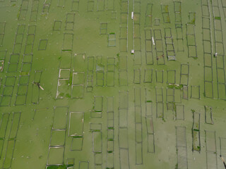 Top aerial view of traditional floating fish pond on swamp in Indonesia