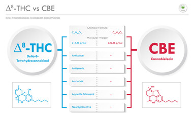 ∆8-THC vs CBE, Delta 8 Tetrahydrocannabinol vs Cannabielsoin horizontal business infographic
