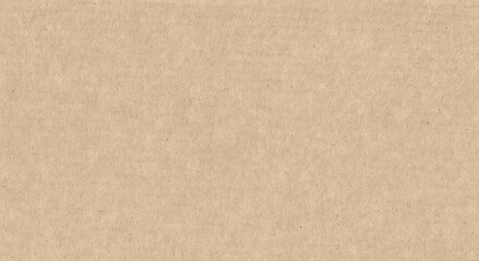 Fototapeta premium cardboard texture background
