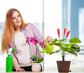 Redhead woman taking care of plants at home