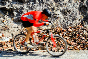 Naklejka premium mountain biker enjoying the day