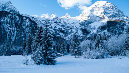 winter came with snow and cold