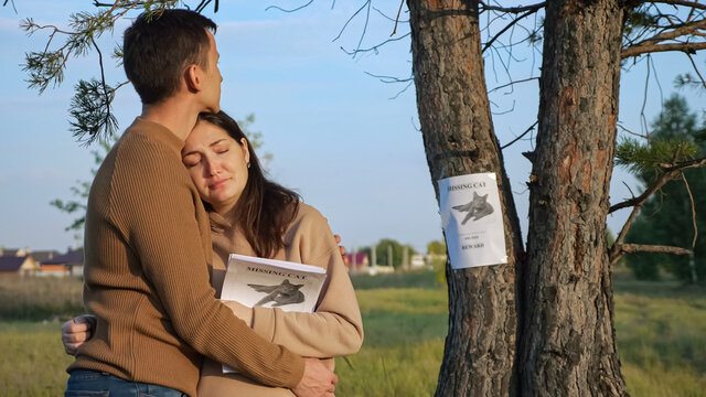 Upset couple with paper posters hugs standing in autumn park focus on report of missing cat with picture hanging on tree trunk close view