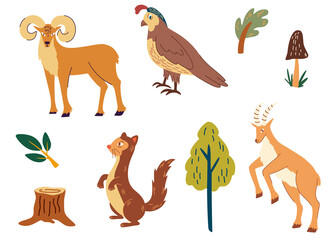 Forest animals set. Ferret, quail, goat and deer. Colorful isolate characters. For children, postcards, books and educational games. Vector illustration cartoon style.