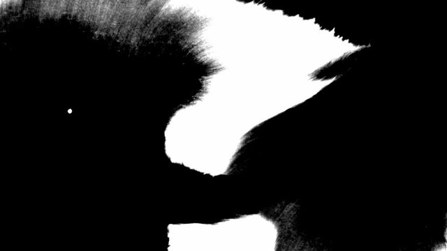 Black inks drops on white background