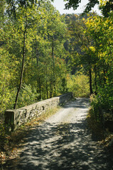 Exploring roads less ridden, little adventures around hometown