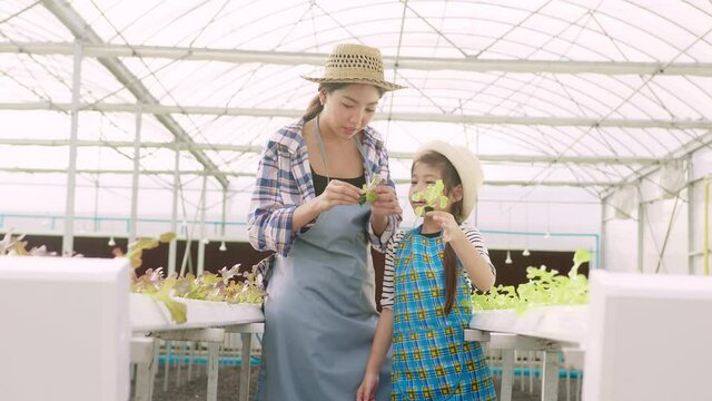 Happy farmer mom and daughter working in hydroponic greenhouse farm, clean food and healthy eating concept