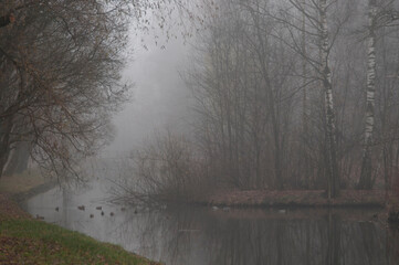 Fototapeta premium Autumn landscape with fog