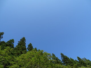紺碧の空
