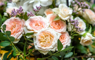 A bouquet of beige roses close-up
