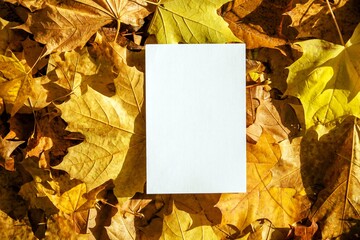 Naklejka na ściany i meble Autumn background-a sheet of white paper on a background of fallen maple leaves 