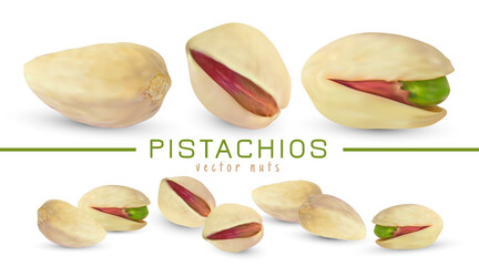 Vector salted pistachio kernel. Realistic green nuts isolated on white background. 3d snack fruit illustration.
