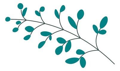 Twig with leaves, isolated branch with foliage