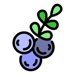 Autumn rowan icon. Outline autumn rowan vector icon color flat isolated