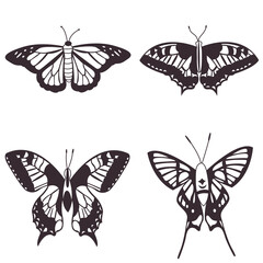 Butterfly collection. Set of realistic vector butterflies. Insect butterfly black silhouette, winged gorgeous animal, vector illustration.