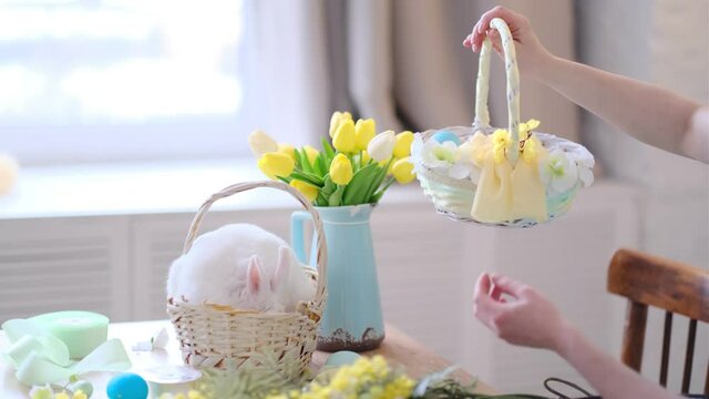 young woman decorates Easter basket in cozy kitchen interior. table kitchen with flowers, easter colorful eggs, presents, pet white rabbit sitting in a basket.