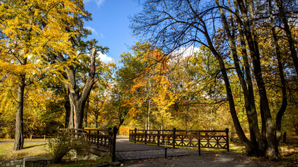 in the autumn season in the Szczytnicki Park in Wrocław