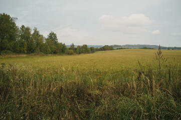 Fototapeta premium Exploring roads less ridden, little adventures around hometown