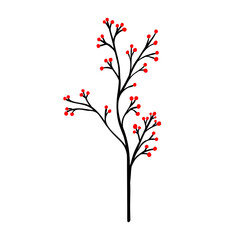 Branch with red berries. A bouquet of dried branches with berries. Vector illustration in hand drawn cartoon style.
