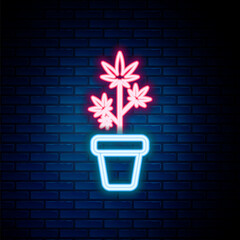 Glowing neon line Medical marijuana or cannabis plant in pot icon isolated on brick wall background. Marijuana growing concept. Hemp potted plant. Colorful outline concept. Vector