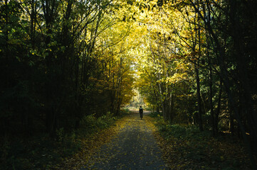 Exploring roads less ridden, little adventures around hometown