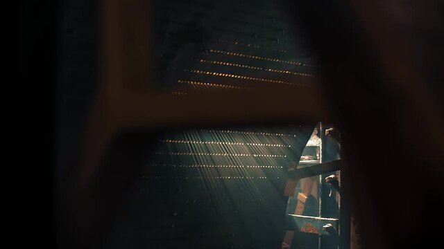 A dramatic indoor shot showing bright sunbeams breaking through window blinds. The cinematic light cuts through the darkness of a cozy room, creating an evocative mood.