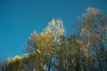 Exploring roads less ridden, little adventures around hometown