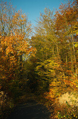 Exploring roads less ridden, little adventures around hometown