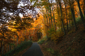 Exploring roads less ridden, little adventures around hometown