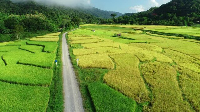 Aerial top view of sky road over top of mountain with farmland green jungle forest in the morning day at Pua district Nan province Thailand Beautiful nature video for background