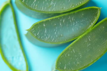 Fresh Aloe vera sliced on the blue background