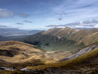 New Zealand - Te Anau - The tree line on the mountain ranges of Fiordland National Park