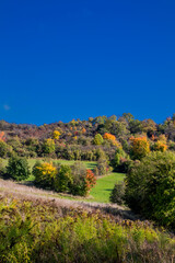 Entspannter Herbstspaziergang entlang der Saale Horizontale in Jena - Th&uuml;ringen