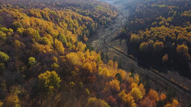 Aerial view of the Shiryaevsky ravine in the Samarskaya Luka national park. Protected natural areas in the autumn season.