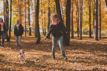 Fototapeta premium Little girl running with her dog jack russell terrier among autumn leaves. Mother and grandmother walks behind