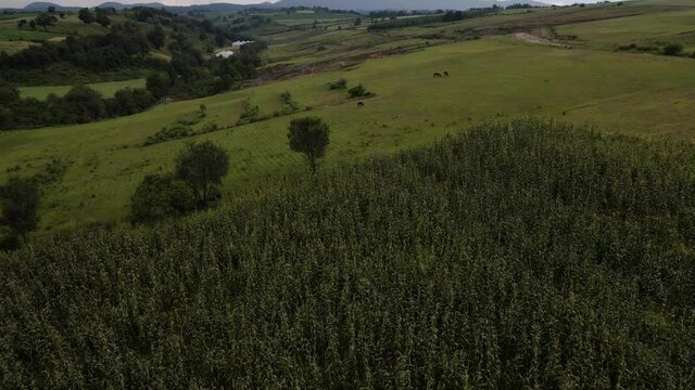 Toma a&eacute;rea hecha con drone de un paisaje verde, Valle y monta&ntilde;as con hect&aacute;reas verdes en campo y racho del Estado de M&eacute;xico EdoMex en un pueblo lejano a la ciudad