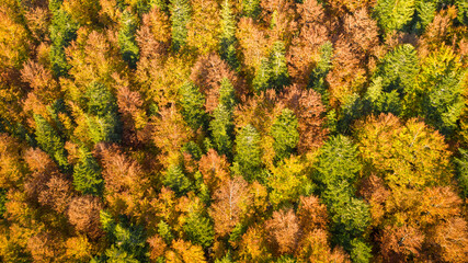 Autumn forest in the mountains from the air. Autumn in the Hudson Valley