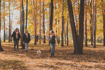 Fototapeta premium Grandmother and mother with granddaughter walks together in autumn park and having fun. Generation, leisure and family concept.
