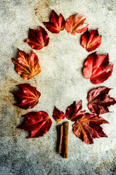 Conceptual tree made with red autumn leaves on a table