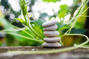 Obraz na płótnie Canvas Stack pyramid stone zen pebbles nature on cement with blur green leaves nature outdoor. meditation tranquil calm still balance relax of buddhism religion or aroma therapy spa massage set concept.